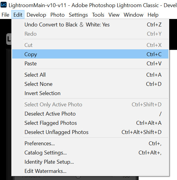 how to convert to black and white in Lightroom