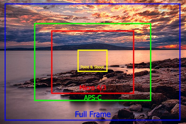 Crop Factor Explained