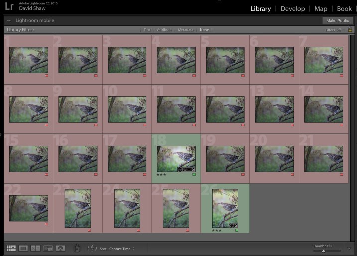 Cull Your Photos Carefully - 5 Steps to Follow Before You Hit Delete