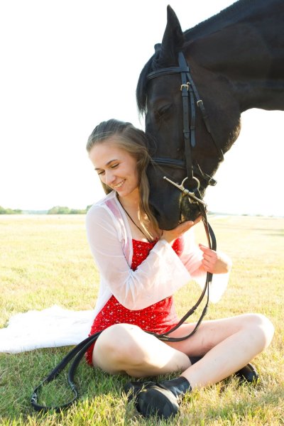 Horse photography