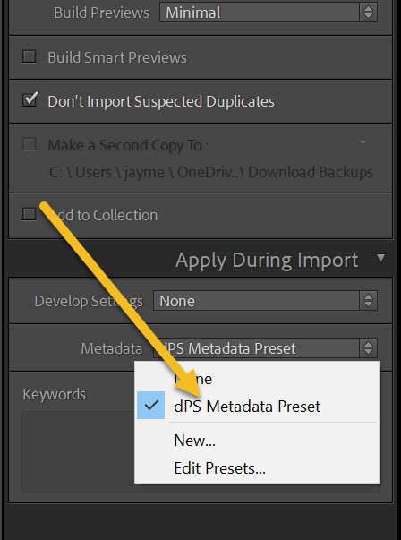 dPS metadata preset