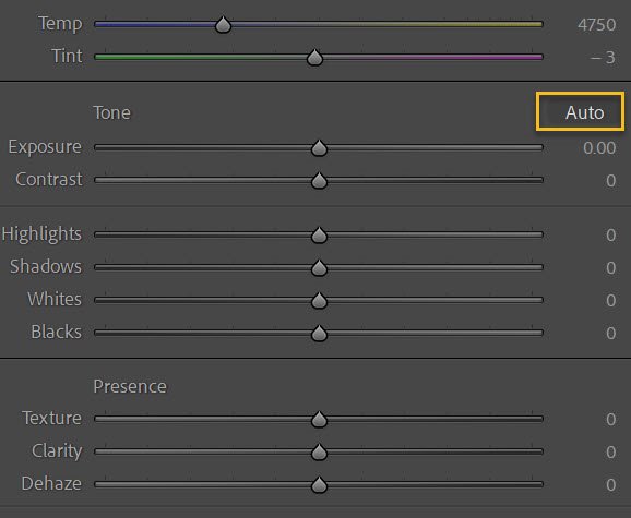 the Lightroom Auto button