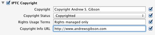 setting copyright information