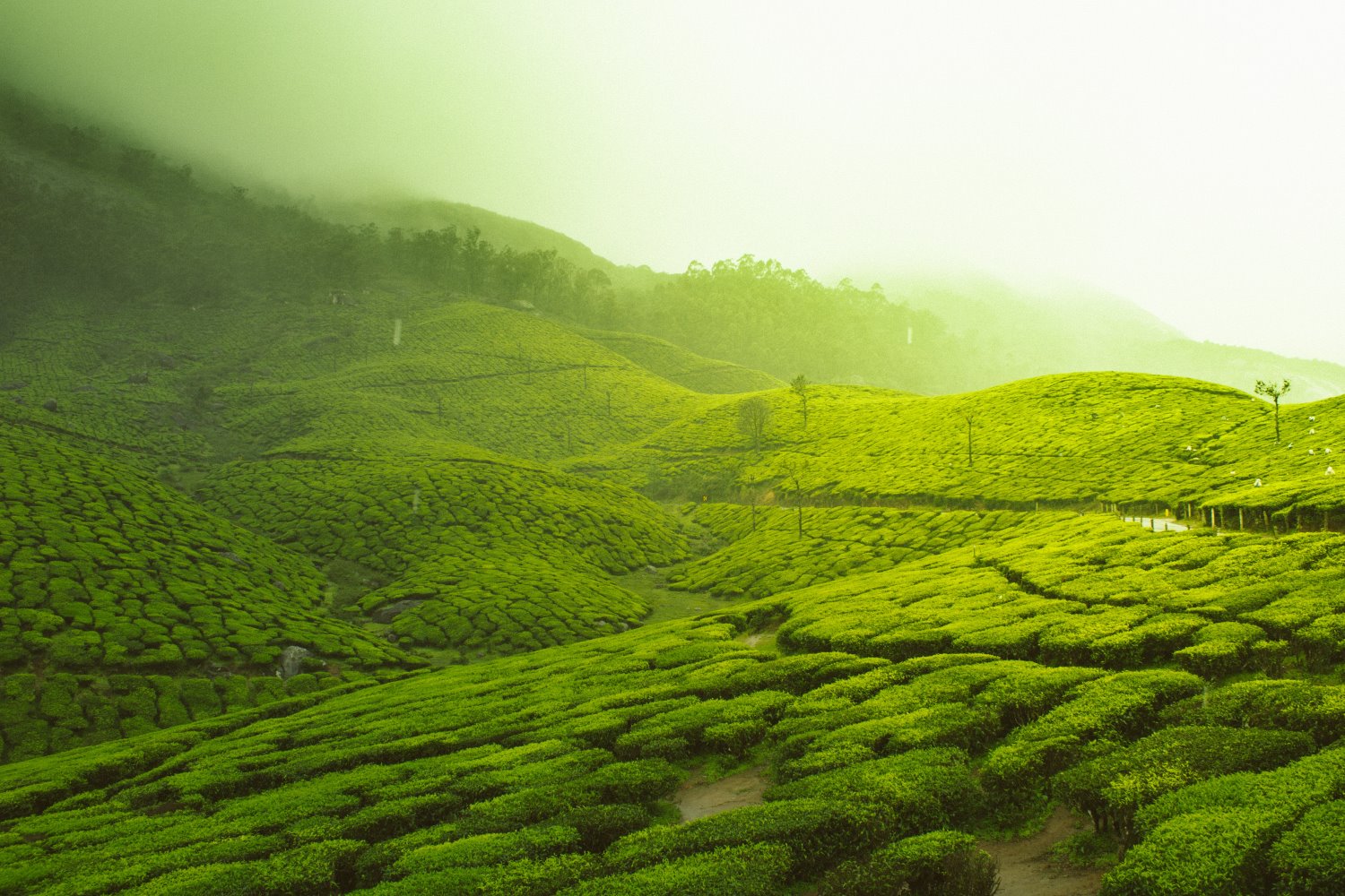 Landscape Photography: A Comprehensive Guide (+ 23 Expert Tips)