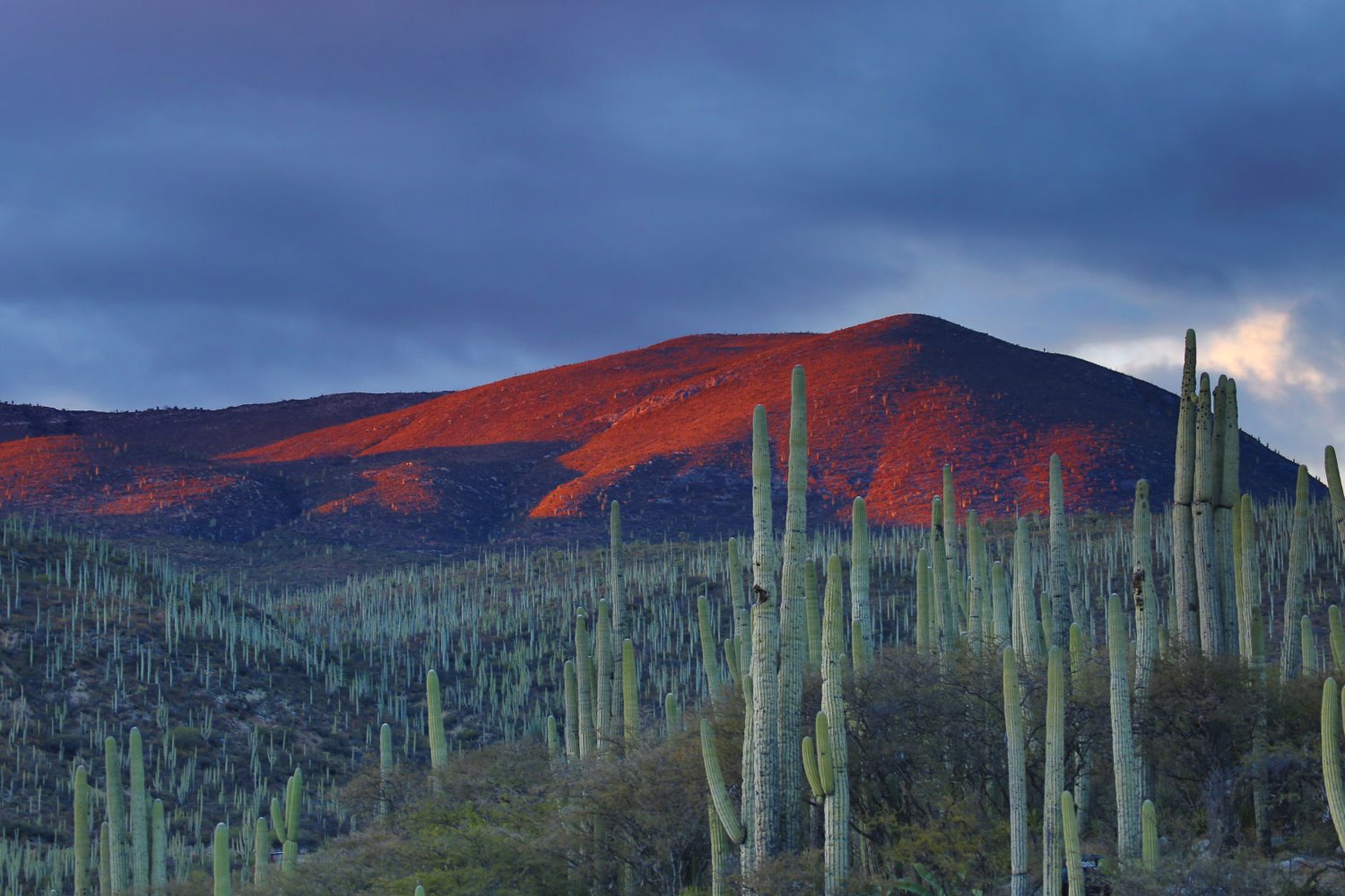 Landscape Photography: A Comprehensive Guide (+ 23 Expert Tips)