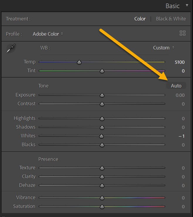 Lightroom Auto option