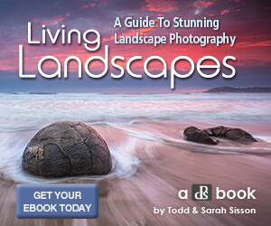 Livinglandscapes 300x250