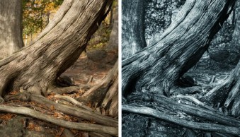 Luminar – The New Powerhouse for Fine Art Black and White Conversions