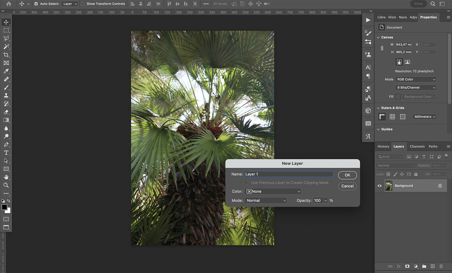 How to mirror an image in Photoshop