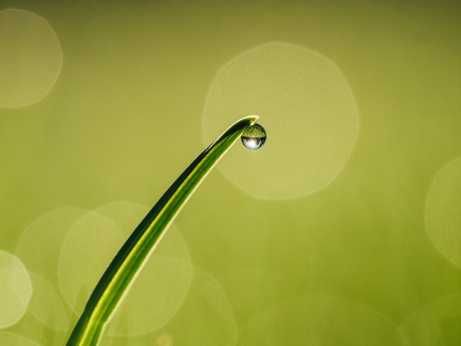 Nature photography