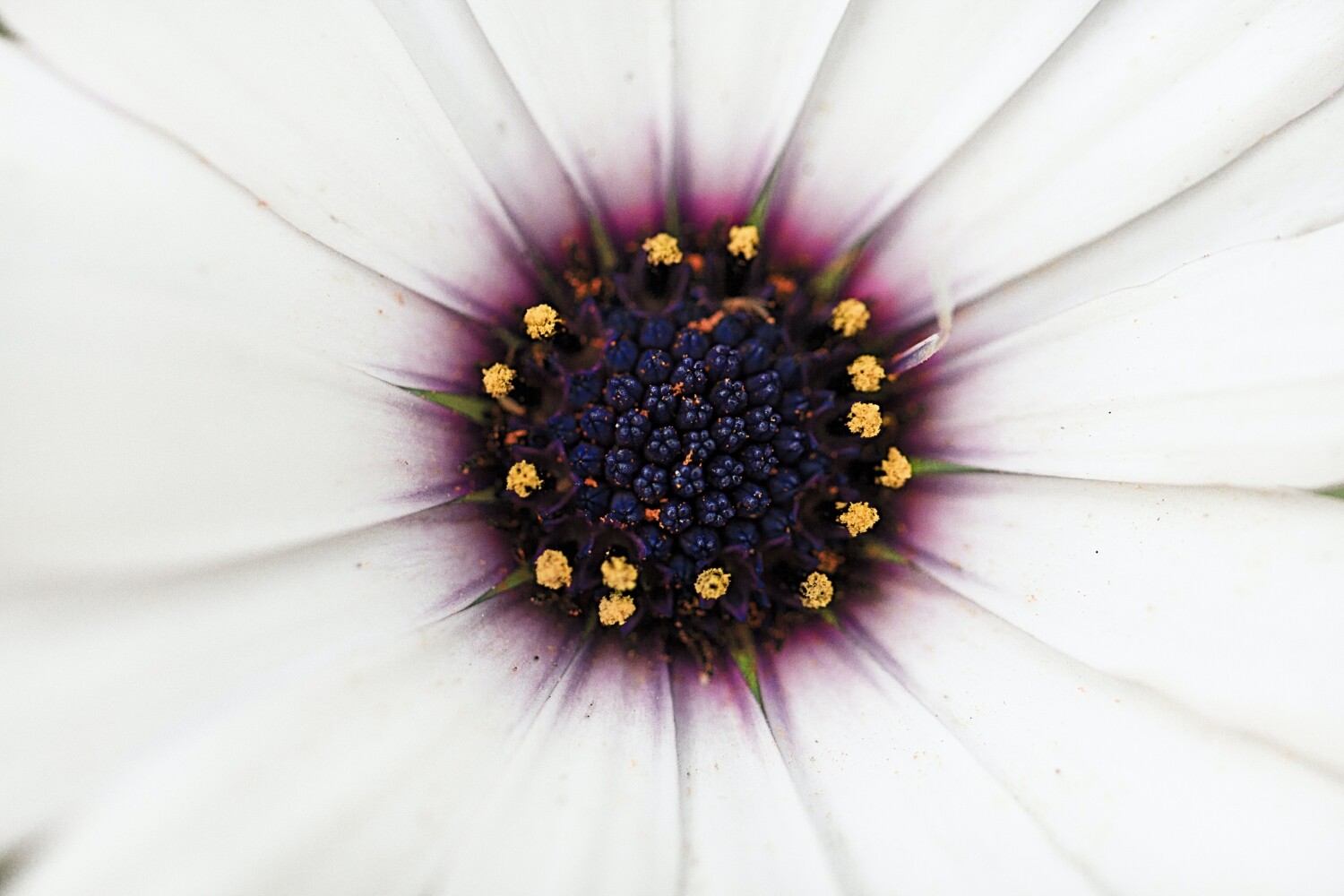 Nature photography