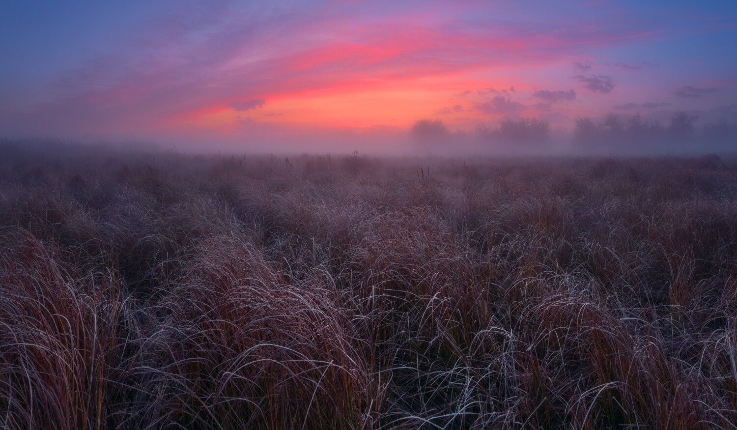 The ultimate guide to nature photography