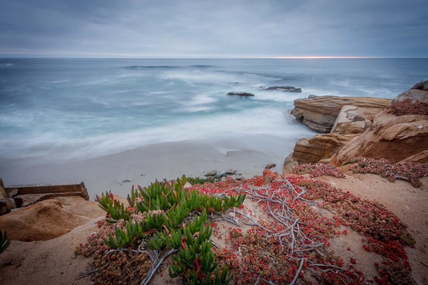 Nature photography