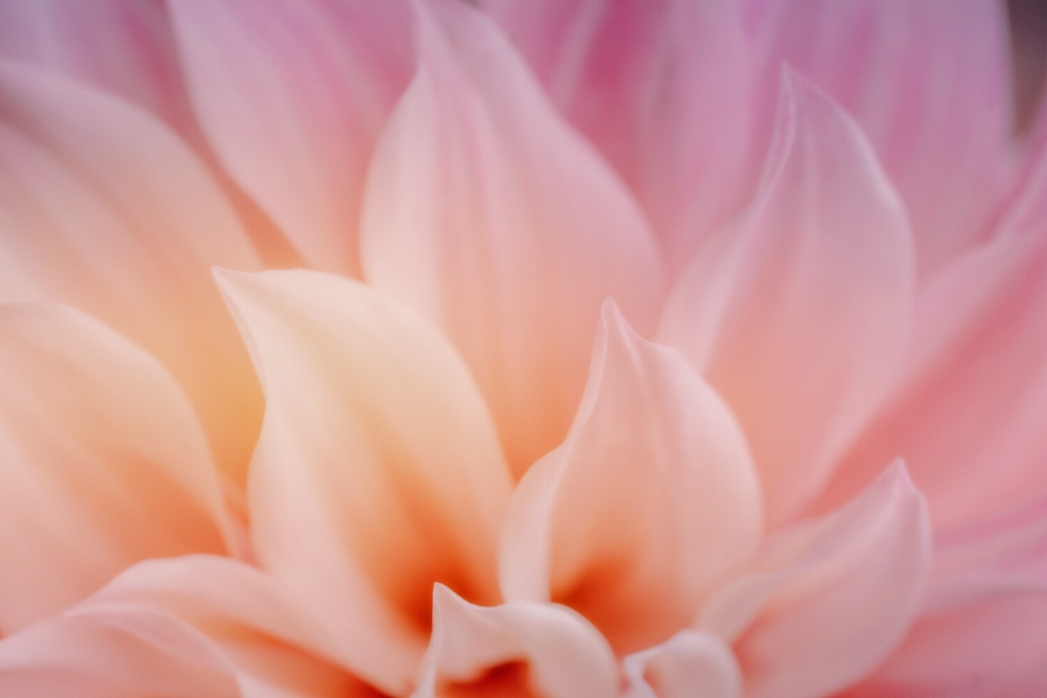 Nature photography