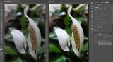 Overlay Blend Mode: A Comprehensive Guide