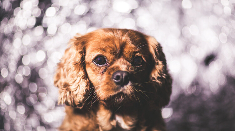Tin foil bokeh 