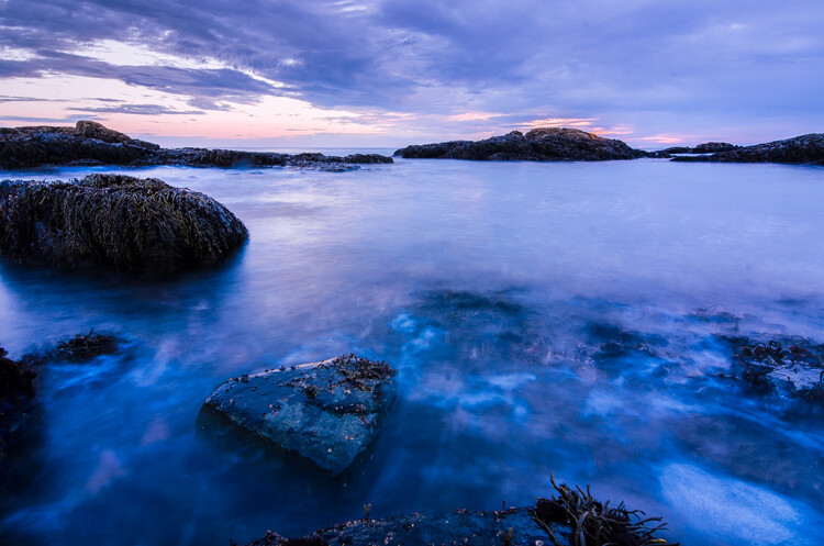 Image: White balance adjusted to custom in post-processing.