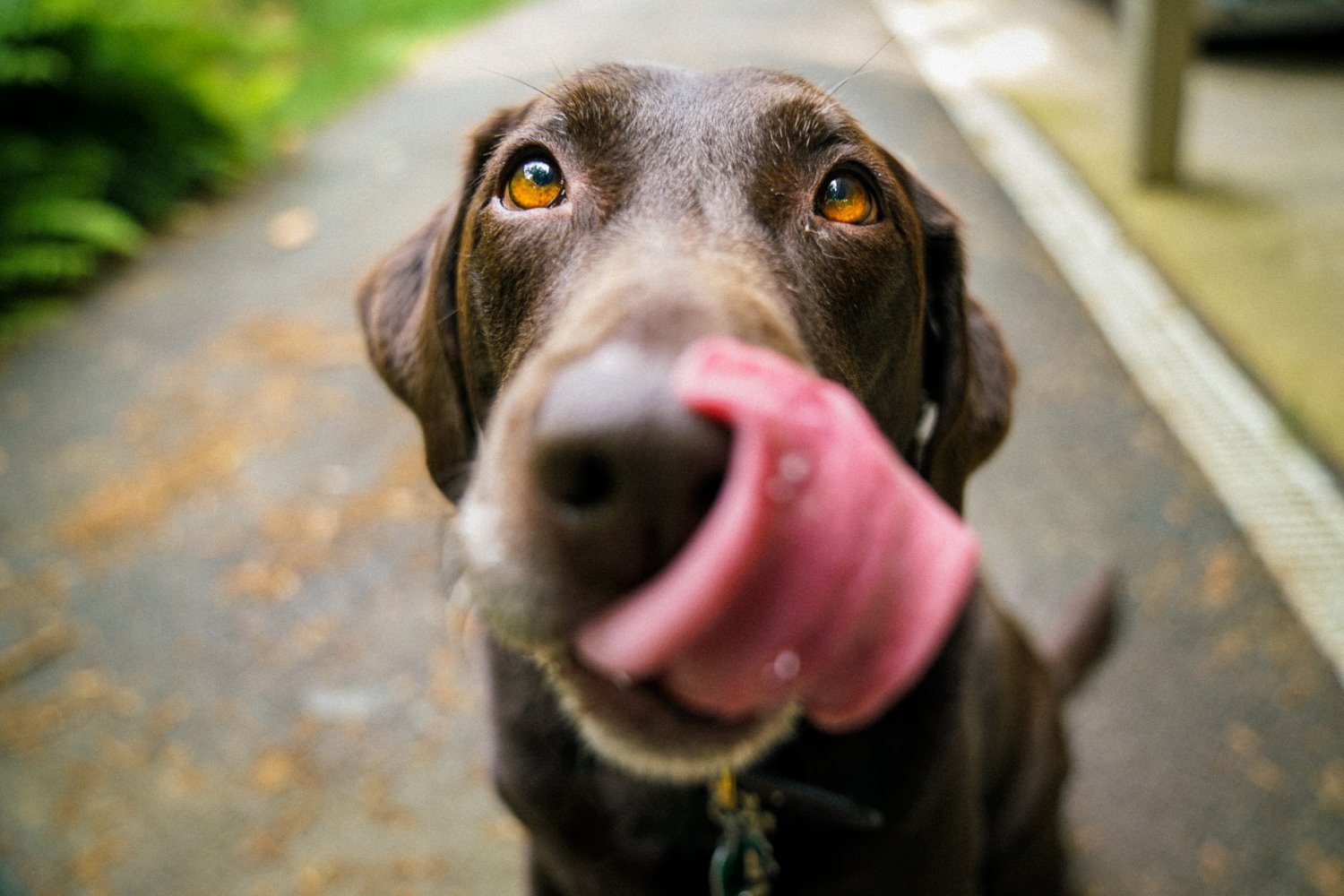 Wide-angle lens photography